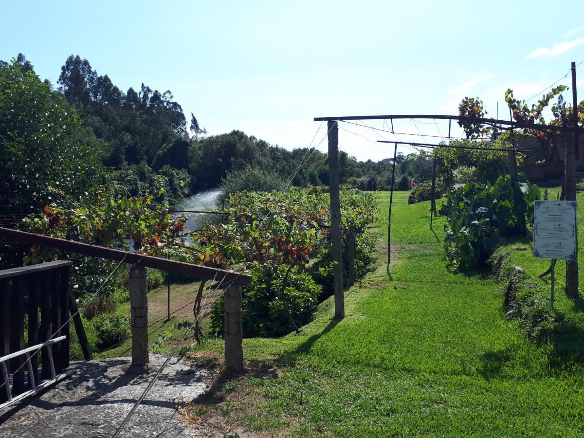 Dream Corner By Waterfalls, 20 Min To Oporto, By Porto With Love Lda Parada  Kültér fotó